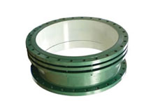 SSQ-1׹s